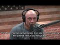 Joe rogan interview with the godfather  fake