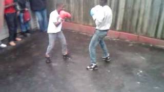backyard Boxing flex 9
