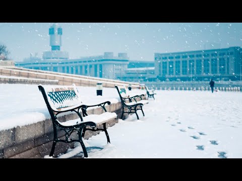 Санкт-Петербург и Великий Новгород замело снегом. Города покрылись сугробами