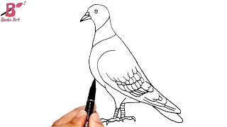 رسم سهل | كيف ترسم حمامة جميلة بطريقة سهله خطوة بخطوة للمبتدئين | How to draw a bird