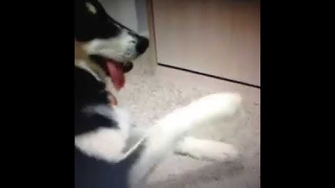 Никогда не трогай меня Vine