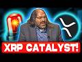 XRP Investors This ONE Catalyst Could Make You VERY RICH!
