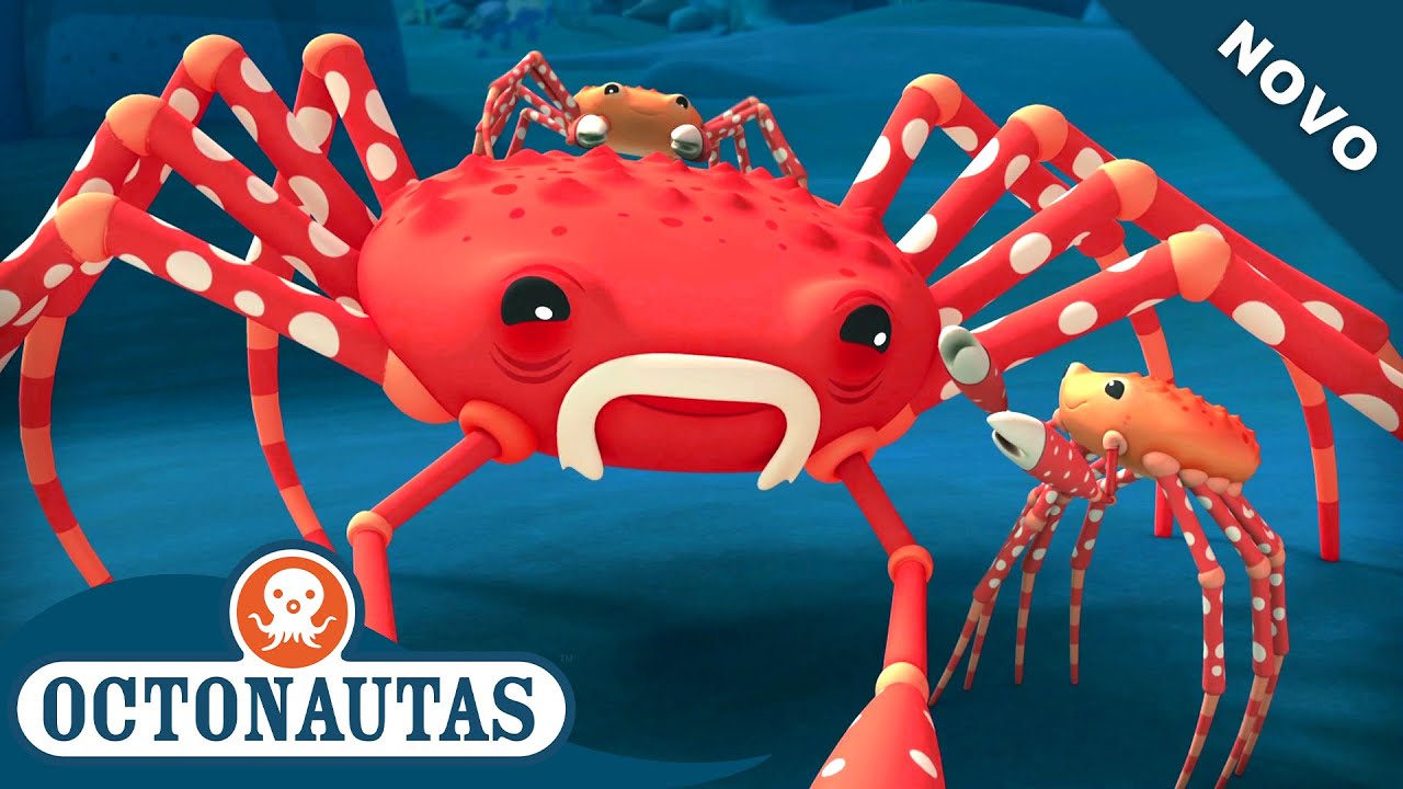 Octonautas - O caranguejo-aranha-gigante | Episódio inteiro 45 | Primeira Temporada