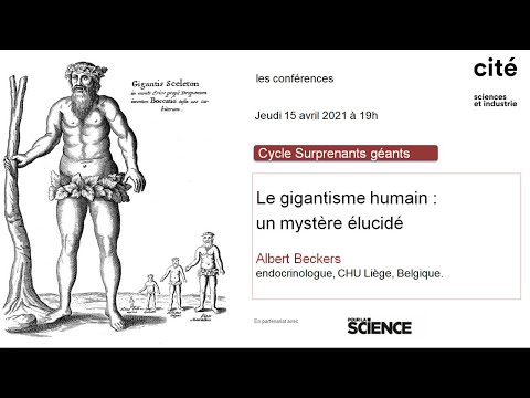 Vidéo: Le Gigantisme Des Organismes Vivants Du Passé. Attraction - Vue Alternative