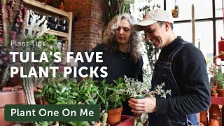 Tula House's FAVORITE PLANTS of 2024 — Ep. 362