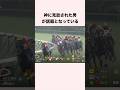神に見放された男が話題となっている #競馬 #競馬予想 #shorts