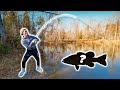 Fishing MY Backyard Pond for More MYSTERY FISH! (Fall Fishing)