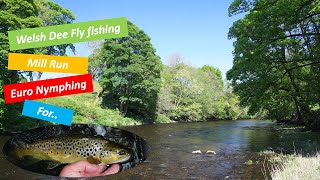 Fly fishing Mill Run on the Welsh Dee for trout