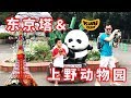 🔴日本之行🔴歡樂遊覽東京塔和上野動物園，動物們也都好歡樂啊！🔴02🔴
