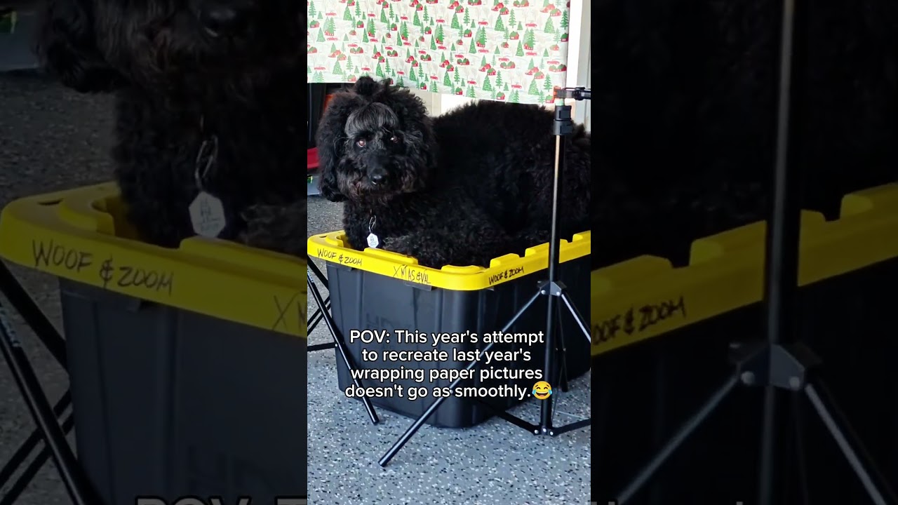 Wrapping Paper Pictures Tradition 2025. 