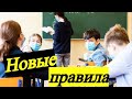 1 Сентября в Украине / Открылись ли школы и детские садики в Украине ?