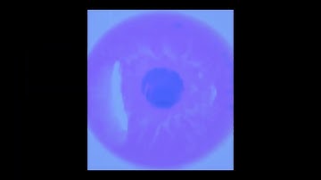 Color bars multirendering updated