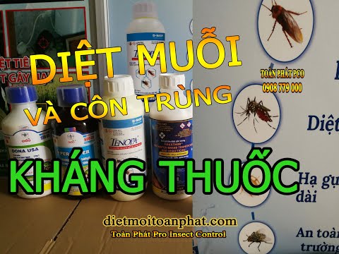 Video: Đĩa Muỗi: Làm Thế Nào để Sử Dụng Chúng? Họ Làm Việc Như Thế Nào? Cái Nào Tốt Hơn: Tấm Hay Chất Lỏng? Hồ Sơ Có Thể được đốt Cháy?