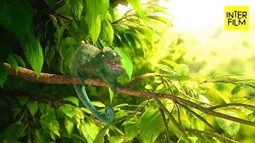 Crazy funny animal - CGI Short Film "Our wonderful nature - The common chameleon - by Tomer Eshed