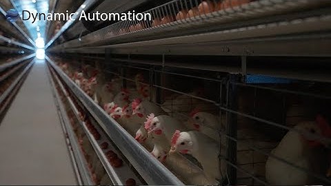 Dynamic Automation