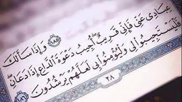 قرآن كريم بصوت القارئ-   مشاري العفاسي❤ -- أجمل حالات واتس اب دينيه 🖤 -- تلاوة خاشعة 🌘😴