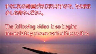 ワンピース ゾロ ミホーク 修行まとめ Youtube