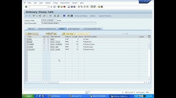 6  Tables and views in SAP ABAP