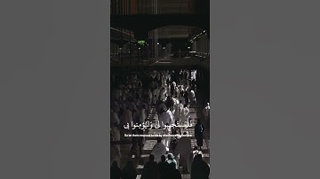 آيات القرآن بمثابة ريّ يرتوي منها القلب ❤️