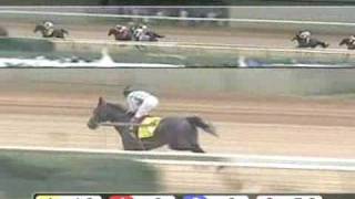 CHURCHILL DOWNS, 2009-05-01, Race 7