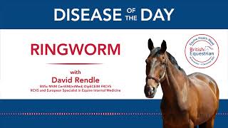 EHW22: Disease of the Day – Ringworm
