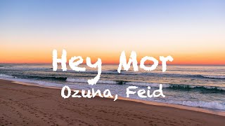 Ozuna, Feid - Hey Mor (Letra/Lyrics)