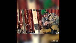 Tanning Beaver Tails- Simple.