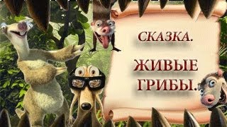 Живые Грибы.