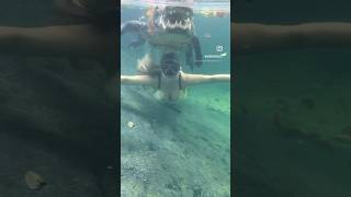 Woman swims underneath alligator