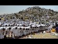 أولاد الشيخ البرعي التجاني زاد الهم و الشوق 