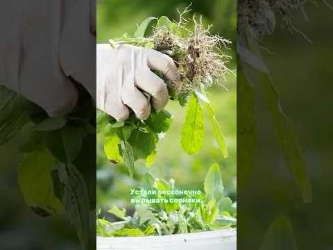 Устали от сорняков?