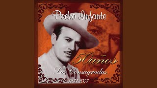 Miniatura del video "Pedro Infante - Amorcito consentido"