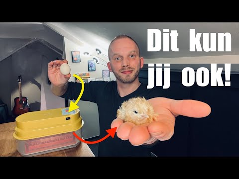 Video: Wat is de betekenis van het woord 