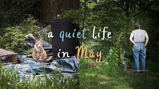 Peaceful Slow Life Vlog | Spring Gardening | Dahlias | Cooking Dinner