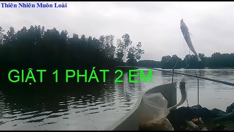 Câu cá bóng đục lên cá liên tục ở Phước An,  Đồng Nai || Shadow Fishing in PHUOC AN