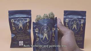 Old Pal Special Blue