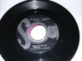 The Blues Busters Wide Awake In A Dream Wmv mp3