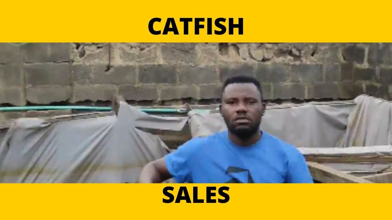 Catfish Sales YouTube