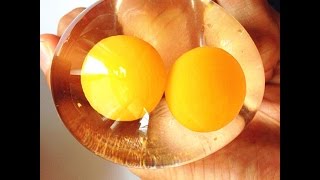 Овоскопирование перепелиных яиц на разных сроках.