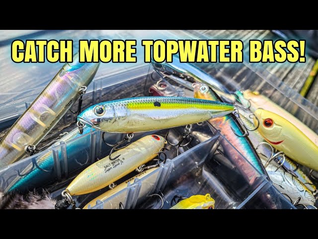 The Best Topwater Lures For Spring And Summer Bass Fishing! 