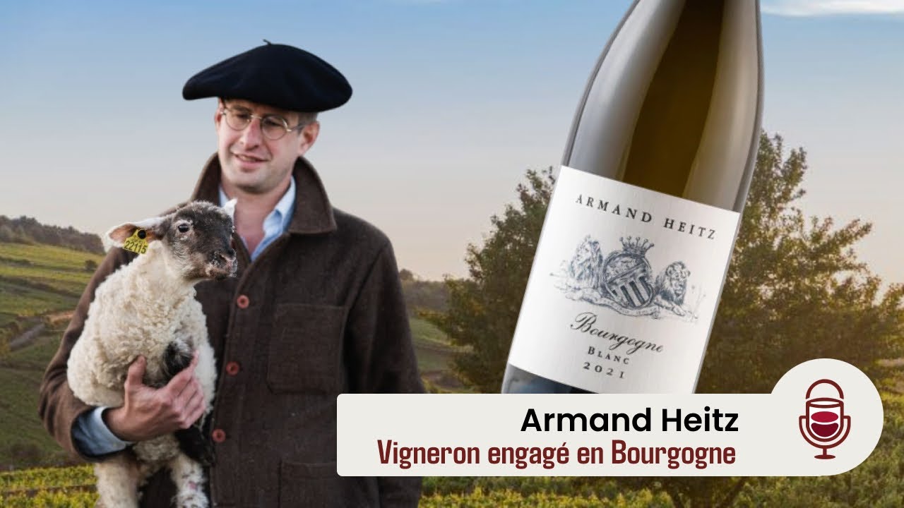 Entre Deux Vins - Épisode 3 : Armand Heitz, Vigneron en Bourgogne