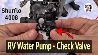 RV Water Pump Check Valve Function and Replacement Howto  Shurflo 4008