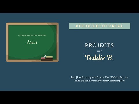 Etui -  Projects met Teddie B.