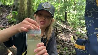 Exploring a Rainforest Creek & How to Make a Bottle Fish Trap | Sebastian's Wild Adventures