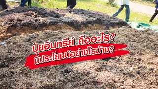 ปุ๋ยอินทรีย์ คืออะไร และมีประโยชน์อย่างไรบ้าง