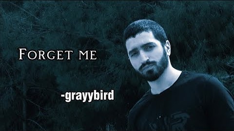 Lewis Capaldi - Forget Me (grayybird cover)