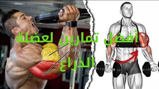 أفضل تمارين لعضلة الذراع The best exercises for arm muscle