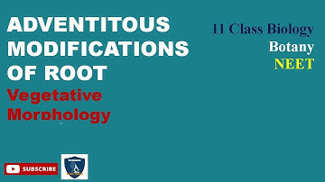 Adventitious Modification of Root I Vegetative Morphology I Botany I Class 11 | TNSCERT/CBSE | NEET