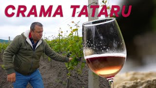 Crama Tataru. Pitușca, Călărași. (English subtitles)