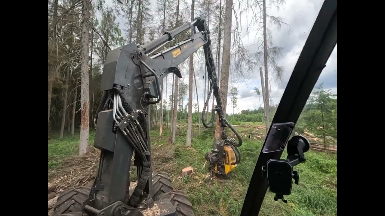 Woodcut Ponsse fox. Cutting down trees destroyed by beetles.